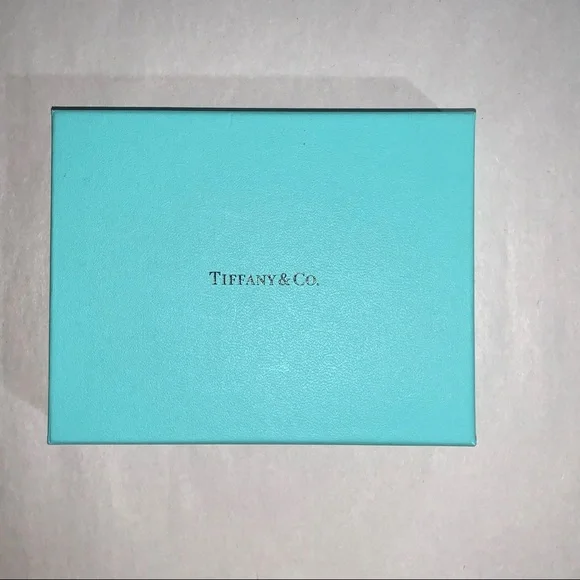 NIB leather TIFFANY & CO. double photo frame with box Decor